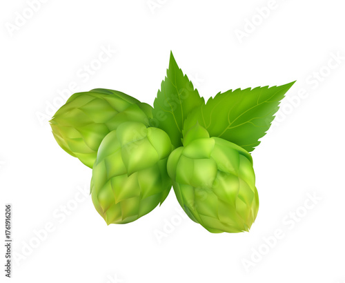 Organic natural malt ingredient for craft beer alcohol drink production. Vector in realistic style, isolated plant hop with leaves, fresh cone. Brewery and producing of alcoholic unique beverages