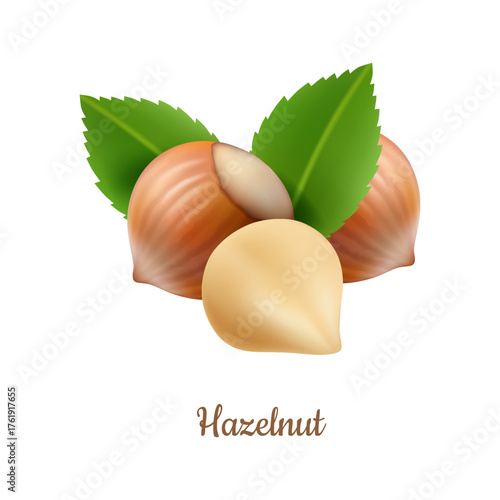 Tasty and healthy nutlets with leaves, aromatic hazelnuts with shell and shelled. Vector realistic natural organic product for nutritious snacks and desserts. Fats, fiber and vitamins source goods