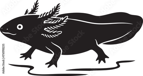 Cute Axolotl Swimming Gracefully Silhouette, Black and White Vector Illustration of Endangered Amphibian Species
