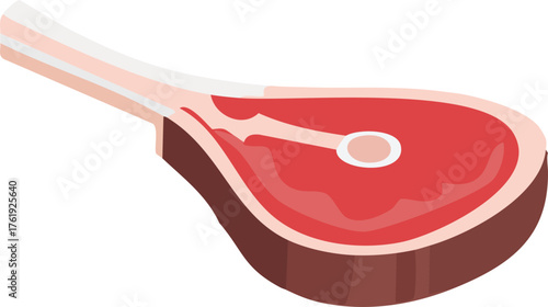 Vector Illustration Delicious Steak Cut for Culinary Purposes