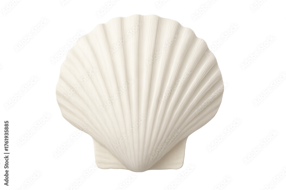 Fototapeta premium White scallop seashell standing on transparent background, marine life symbol, summer beach concept, ocean mollusk