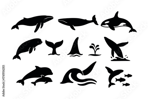 Silhouette collection of marine mammals: whales, dolphins, orcas