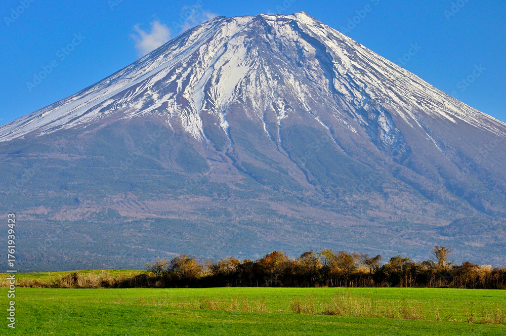 Fototapeta premium 静岡県富士宮市 朝霧高原の草原から望む雄大な富士山 