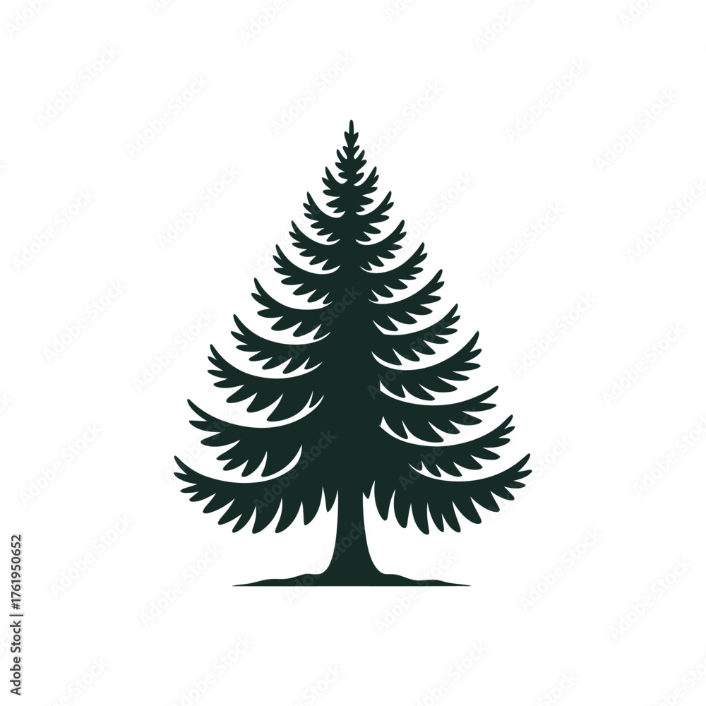 Fototapeta premium Tall Evergreen Pine Tree Silhouette
