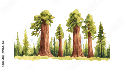 Sequoia National Park. Sequoia National Park hand drawn watercolor illustration