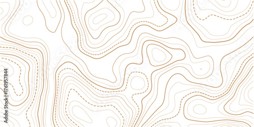 Transparent PNG Topographic line map. Modern design with White background with topographic wavy pattern design. Vector Illustration