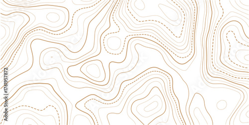Transparent PNG Topographic line map. Modern design with White background with topographic wavy pattern design. Vector Illustration