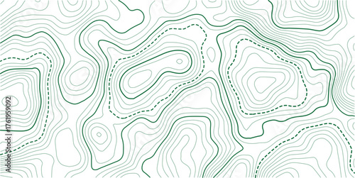 Topographic background and texture, monochrome image. Cartography Background, topographic multicolored linear background for design, abstraction with place for text.