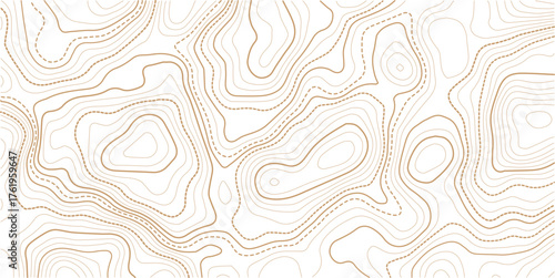 Topographic background and texture, monochrome image. Cartography Background, topographic multicolored linear background for design, abstraction with place for text.