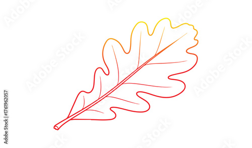Hand drawn oak leaf with warm gradient outline on white background