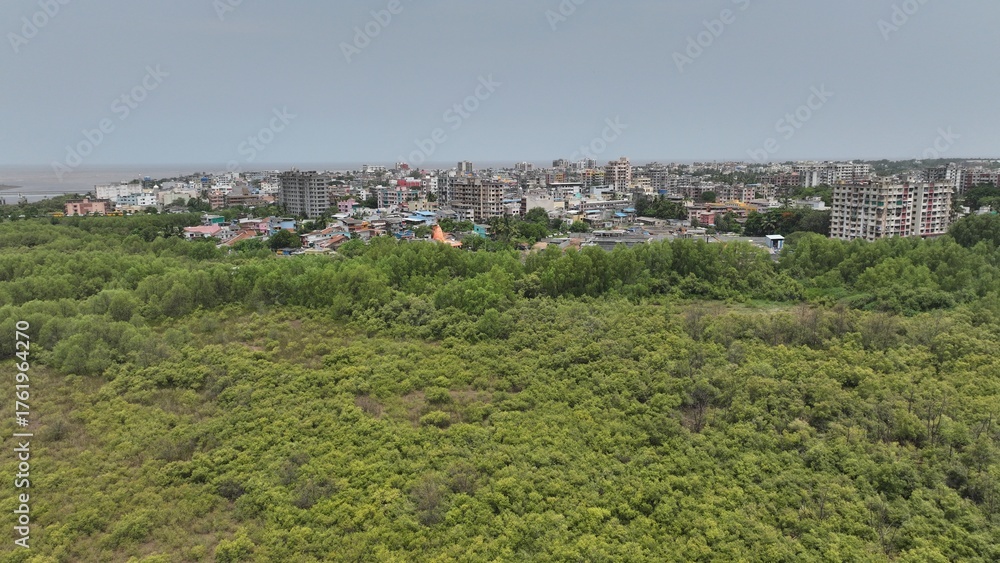 Obraz premium High-resolution aerial photograph showcasing a vibrant coastal city in India, bordered by dense green mangroves and a wide river leading to the sea