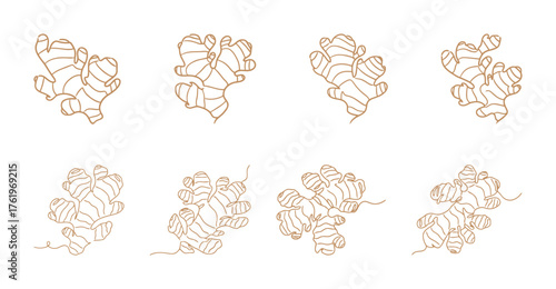 Ginger Root Continuous Line Drawing Set. Simple One Line Art Spice and Herb Vector Illustrations on White Background.