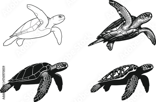 Sea turtle vector illustration collection, detailed marine reptile design in black and white, ocean wildlife art for nature and conservation themes