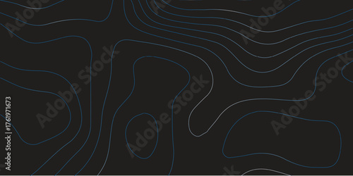 Abstract black and white vector design with a floral pattern and a gentle curve and line swirl