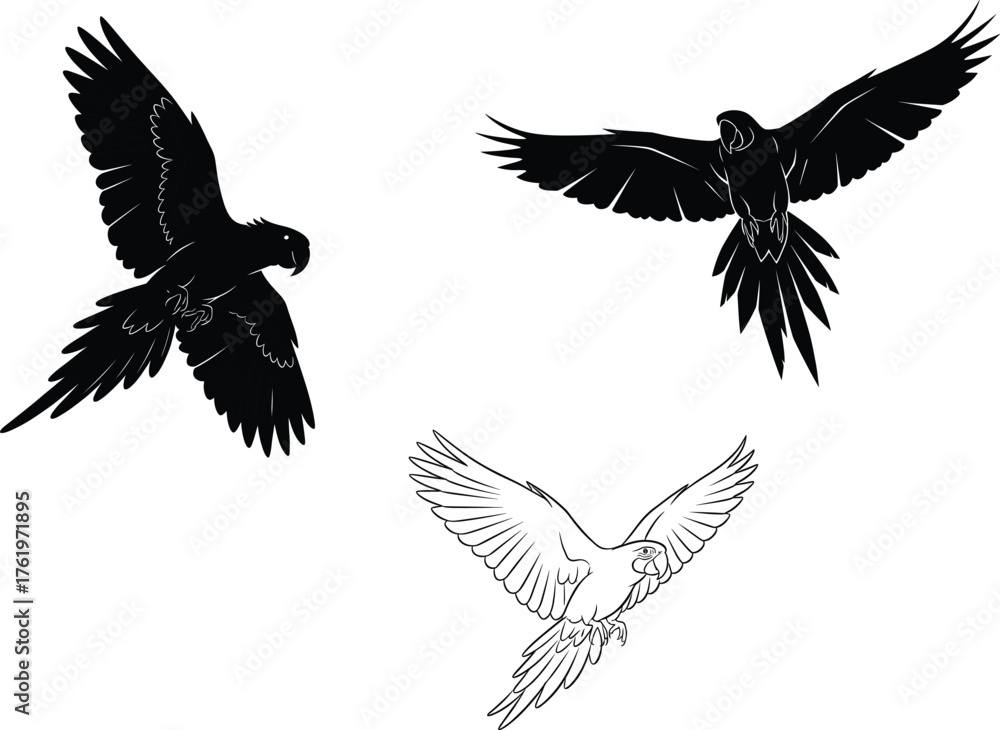 Fototapeta premium Flying parrot silhouette vector illustration, tropical exotic bird artwork for wildlife, freedom, and nature concept design in artistic style