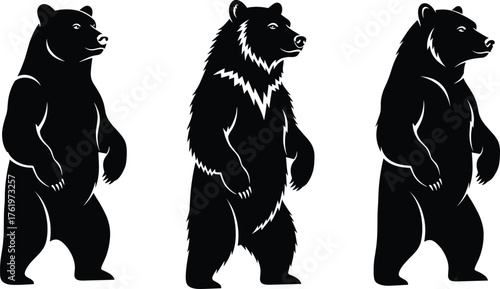 Vector illustration of standing bear in different styles, black and white wildlife animal silhouette, grizzly bear design for nature art