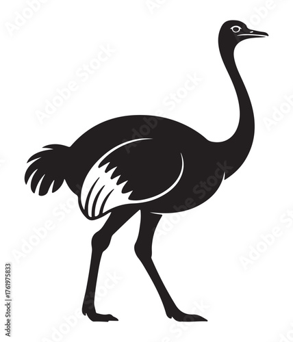 Silhouette of an emu, a large flightless bird native to Australia.
