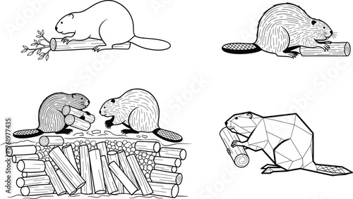 Beaver building dam vector illustration set showing animal chewing wood and carrying logs, perfect for wildlife, nature, and forest design