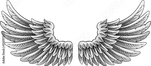 A pair of angel, eagle or pegasus feather wings illustration in an etched or engraving woodcut style