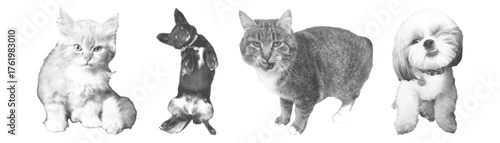 Collection of halftone cats and dogs. Photocopy effect.