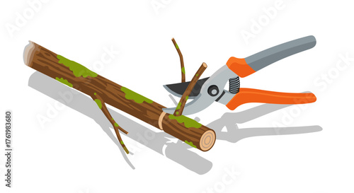 Pruning shears trimming branches: gardening tools in action