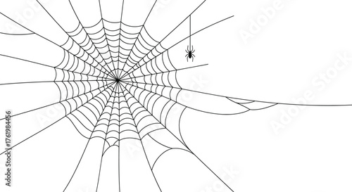 Spider web black with transparent background