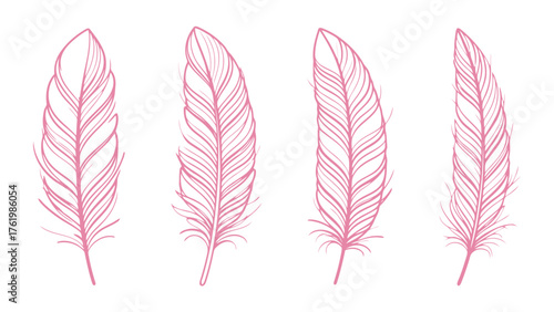 Set of Pink Feather Vector Illustrations