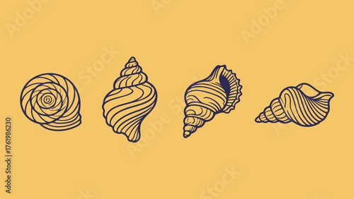 Collection of Abstract Seashell and Conch Shell Line Art