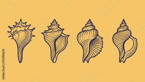 Set of Abstract Line Art Seashells and Conch Shells