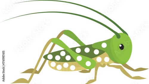 Grasshopper. Vector illustration