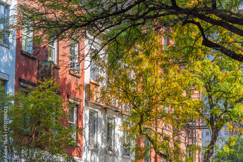 Trees by an elegant facade in Greenwich village in Manhattan