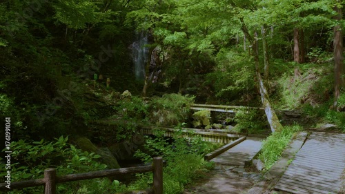 Wallpaper Mural 渓谷の散歩道 Torontodigital.ca