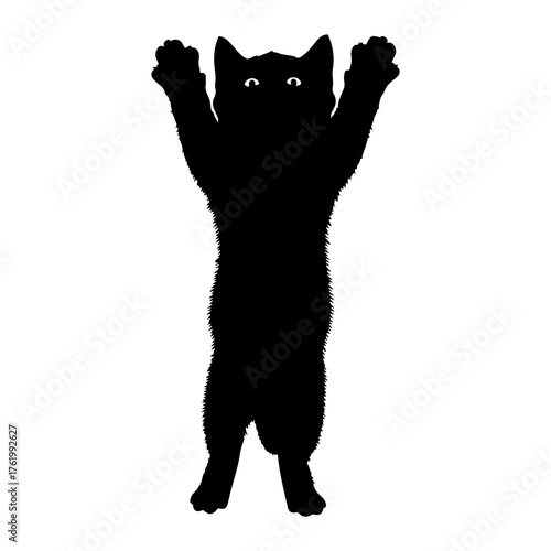 Black cat standing on hind legs reaching up silhouette