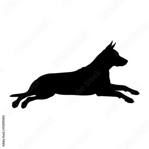 Black dog running silhouette animal