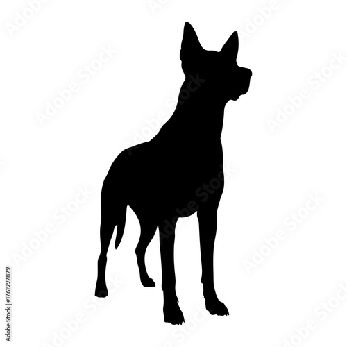 Black dog silhouette standing alert white background