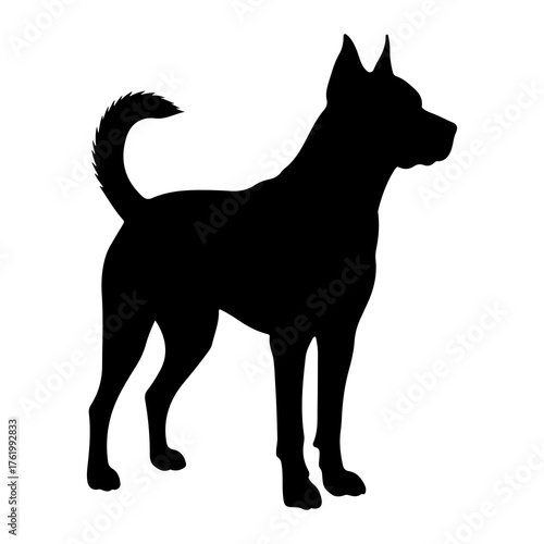 Black dog silhouette standing alert animal canine