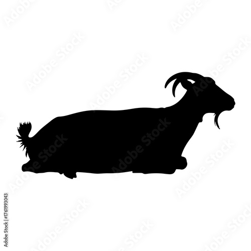 Black goat silhouette resting animal mammal