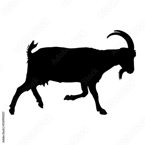 Black goat silhouette running animal
