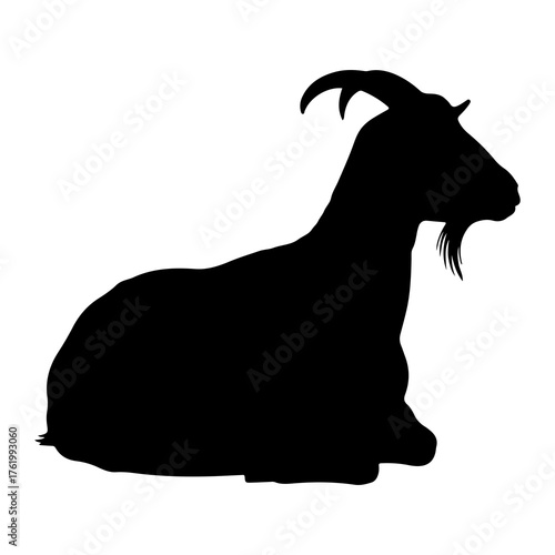 Black goat silhouette resting white animal