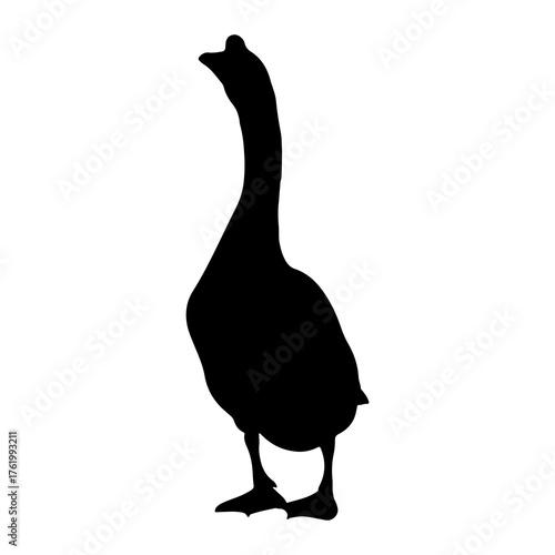 Black goose silhouette standing white bird