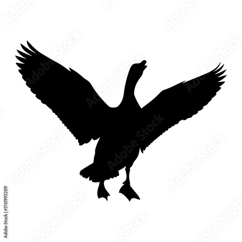 Black goose wings spread white background bird silhouette