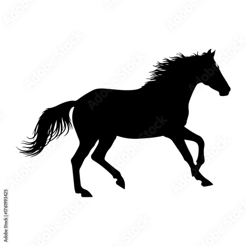 Black horse running wild silhouette animal