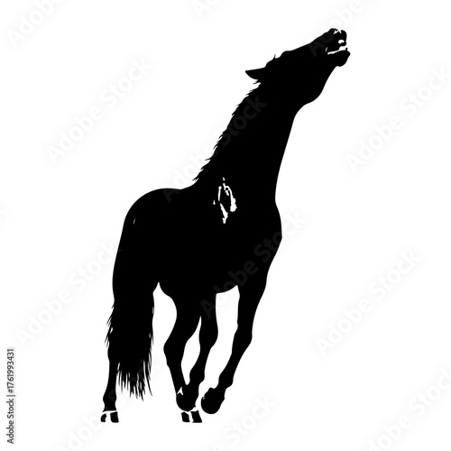 Black horse rearing with open mouth silhouette running