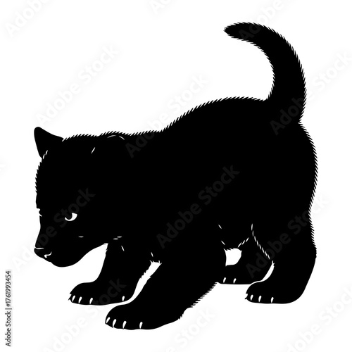 Black kitten crouches low silhouette crouching