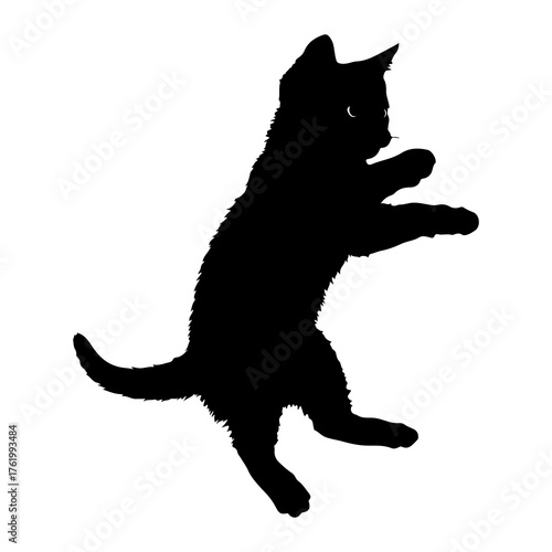 Black kitten jumping against white silhouette