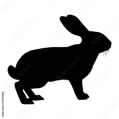 Black rabbit silhouette standing alert bunny hare
