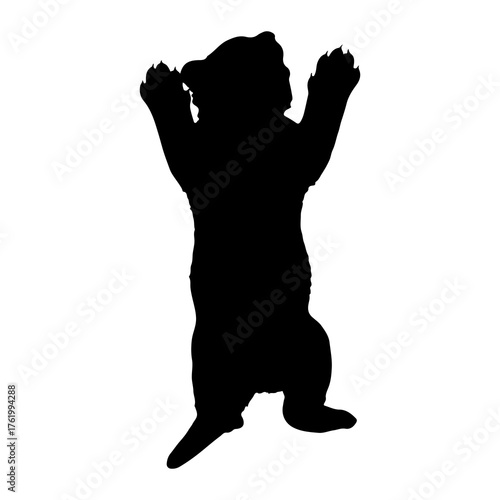 Black silhouette of a bear cub standing paws up