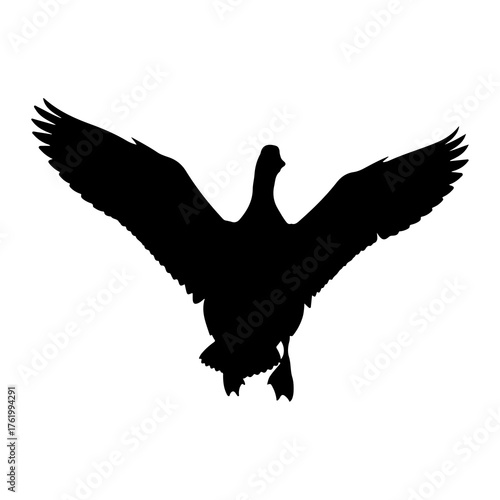 Black silhouette goose wings spread white background