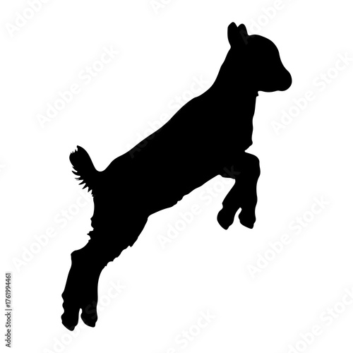 Black silhouette of a jumping baby goat white background