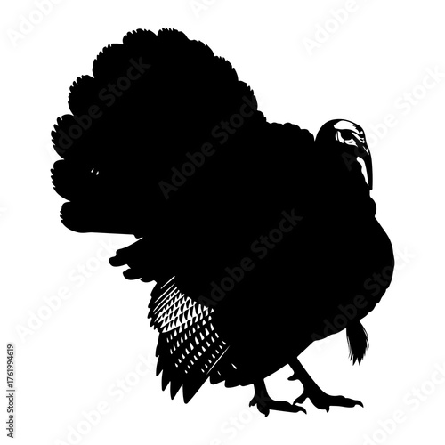 Black silhouette of a turkey displaying its tail feathers